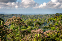 Distant view of the Pacific