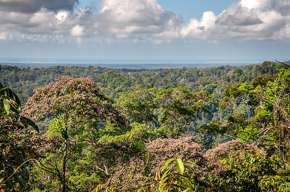Distant view of the Pacific