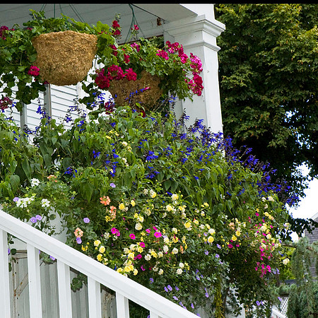 Flowers and Gardens