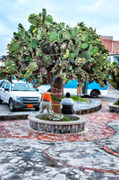 San Cristobal Island