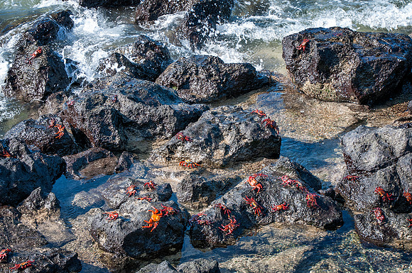 San Cristobal Island