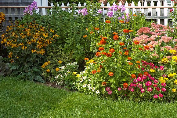 Flowers and Gardens
