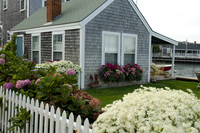 Flowers and Gardens