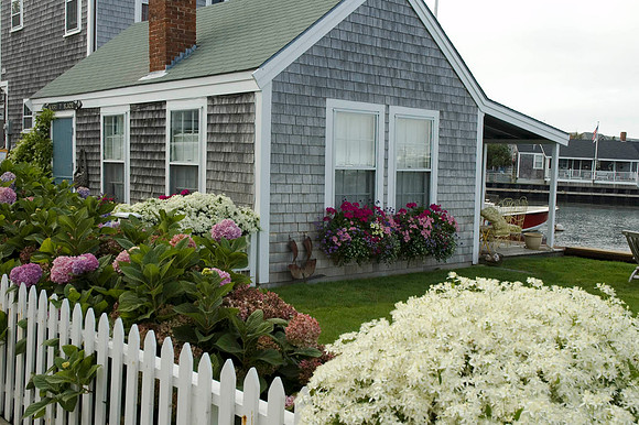 Flowers and Gardens