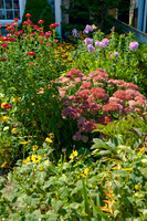 Flowers and Gardens