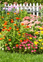 Flowers and Gardens