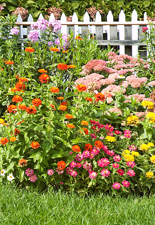 Flowers and Gardens
