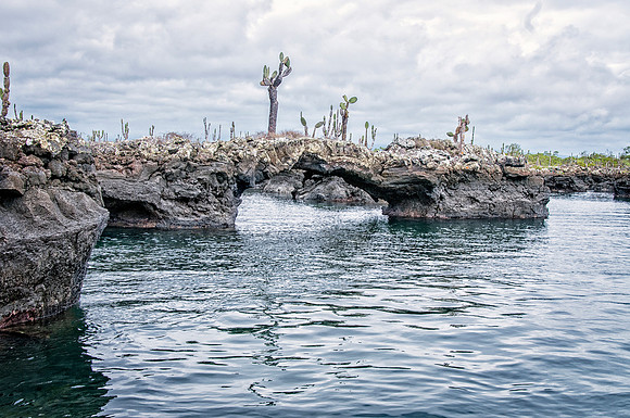 Tuneles Island
