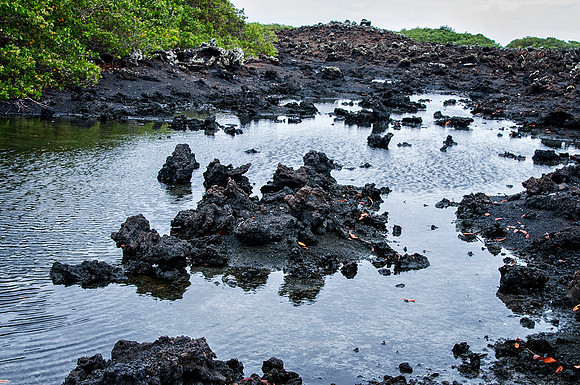 Tuneles Island