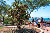 San Cristobal Island