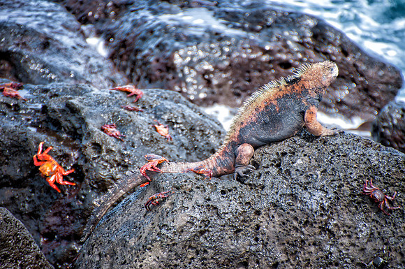 San Cristobal Island