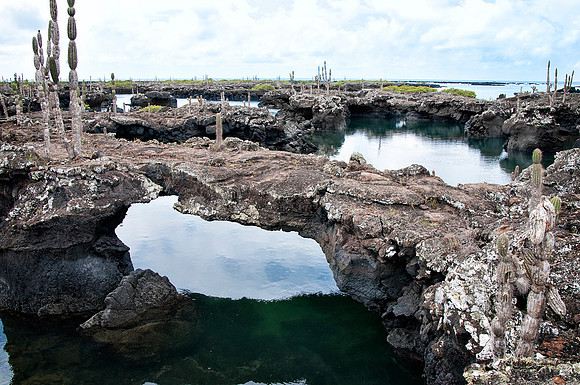 Tuneles Island